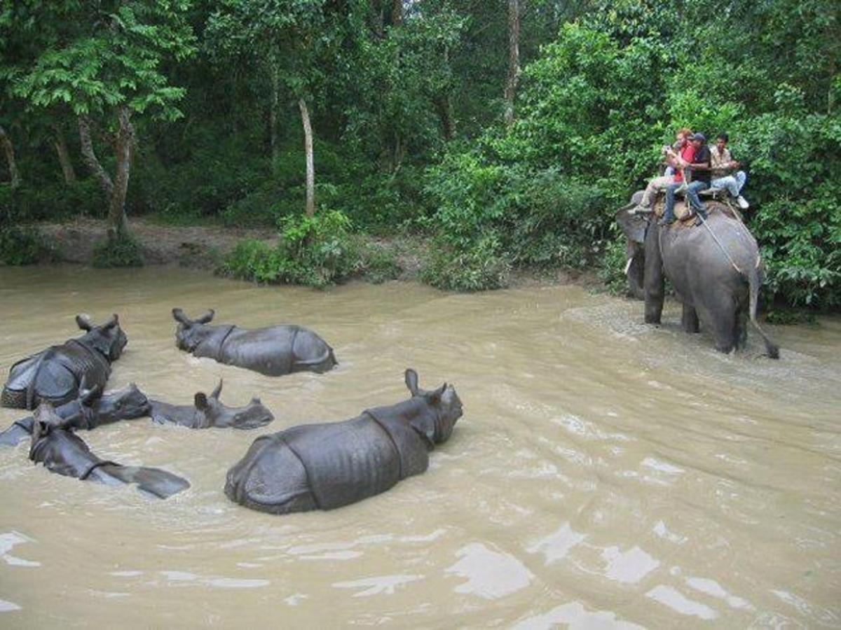 Safari Wildlife Lodge And Camp Chitwan Zewnętrze zdjęcie